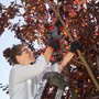 114023-mini-chainsaw-csm-1815-set-webshop-mood-01_v3_cc971f1e.jpg
